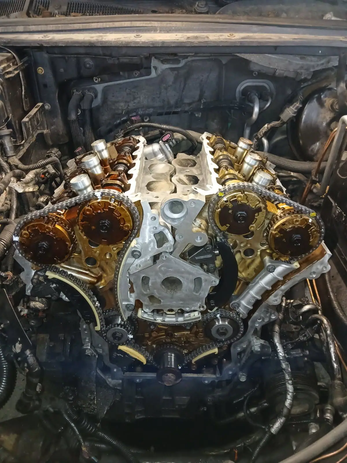 V6 with both timing chains and cam phasers exposed